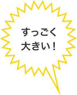 すっごく大きい！
