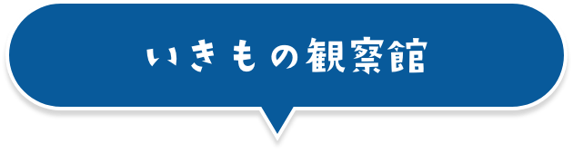 カブトムシの館