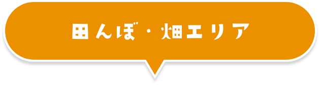 田んぼ・畑エリア