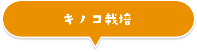 キノコ栽培
