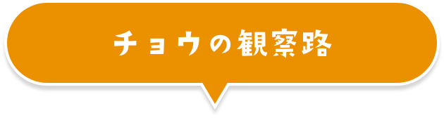 チョウの観察路